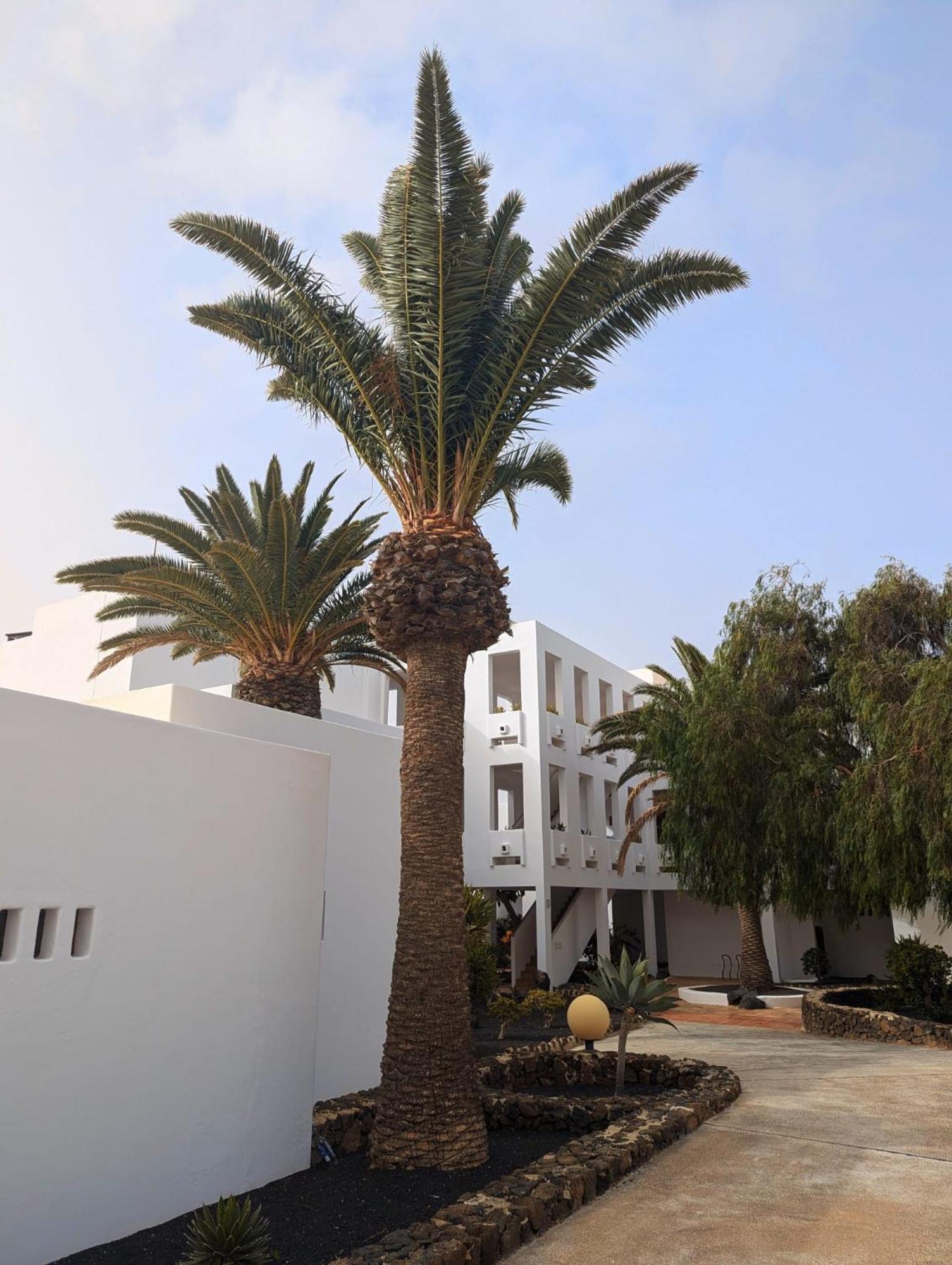 Charming Flat In Los Molinos With Terrace & Pools, Near Playa Bastian Costa Teguise Zewnętrze zdjęcie